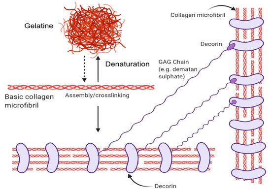 Other Bioregeneration Tools